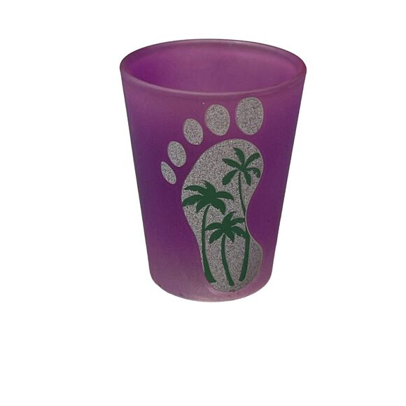 Coastal Charm Flagler Beach Inspired Purple Shot Glass - Picture 1 of 7